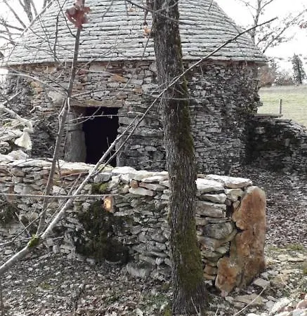 Ferienhaus Chez Carpet *